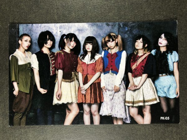 Bis VS LSN サイコキラーズ グラビア アイドル トレカ トレーディングカード拍卖