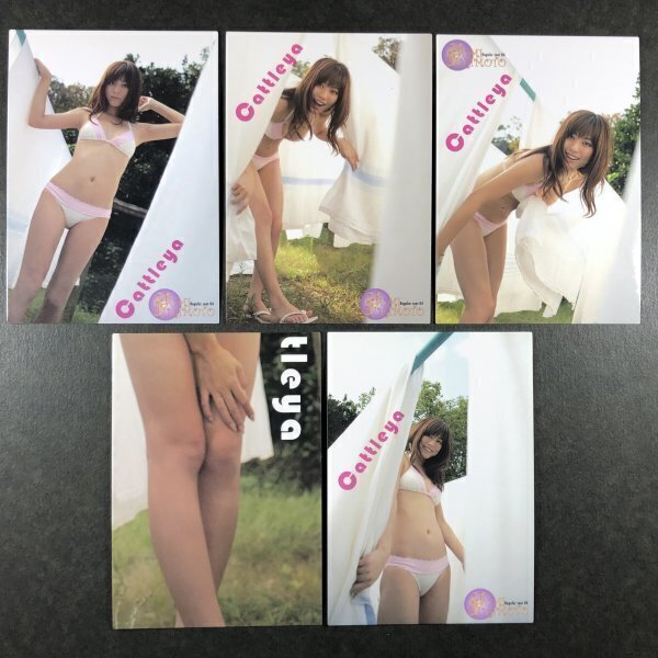 杉本 有美 HIT's・ヒッツ 2010 030~ 5枚セット 水着 グラビア アイドル トレカ トレーディングカード拍卖
