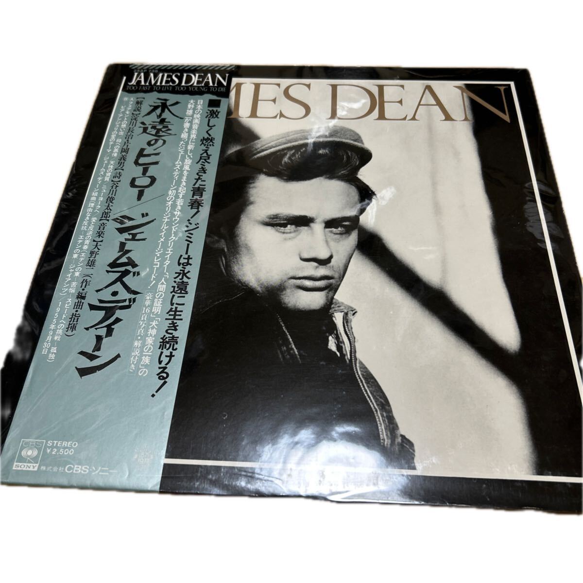 激レア 人気盤 アナログ ジェームズ・ディーン 永遠のヒーロー  muro オルガンバー 藤原ヒロシ クボタタケシ 野村訓市 大野雄二拍卖