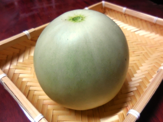 461.6◆昭和からの味 香り ノーネットメロン 10粒 プリンスメロン◆トライ 家庭菜園 プランター 栽培/自然菜園 無農薬 無化学肥料 野菜種苗拍卖