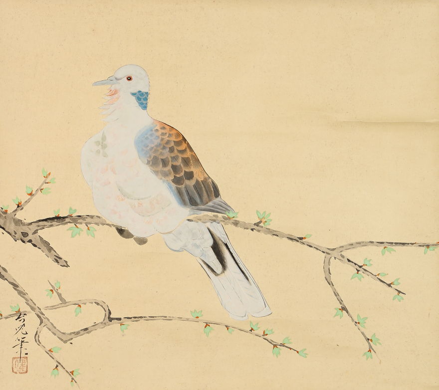 真作 浜田台児 掛軸 鳩図 太巻 二重箱 桐箱 鳥取 / 赤石文雄 稲嶺 中島菜刀 片山楊谷 菅楯彦 沖一峨 伊藤深水 喜多川歌麿 河井寛次郎 鯉 鶴拍卖
