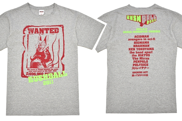 Y-9872★送料無料★美品★RUSH BALL 2011年 ラッシュボール 大阪泉大津フェニックス ROCK ロックフェス★Anvil グレー 半袖 T-シャツ M 拍卖