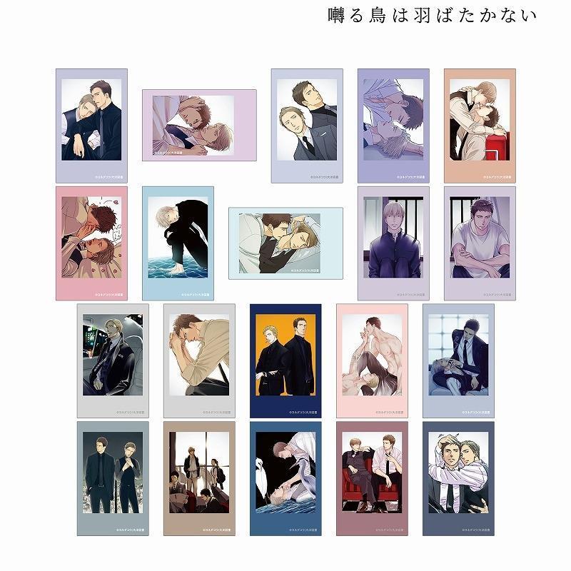 ヨネダコウ 囀る鳥は羽ばたかない インスタントカメラ風 イラストカード 全種 全20種 1BOX コンプリート 新品 未開封 即納 グッズ拍卖