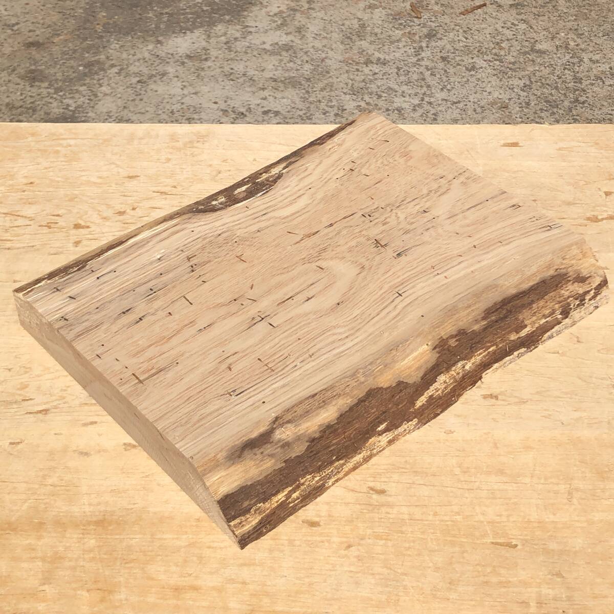 送料無料!楢【A287T】366×277~282×42mm ナラ 木工 クラフト DIY 天然木 自然素材 材木 木材 乾燥材 無垢材《銘木すずめや》拍卖