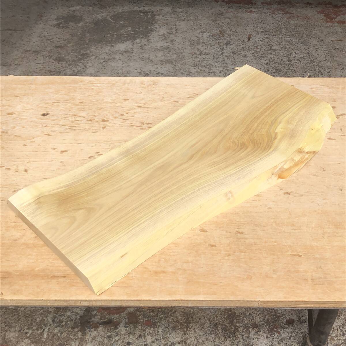 送料無料!藤木【A308M】582~586×219~264×23mm フジキ 山槐 ヤマエンジュ 木工 天然木 自然素材 木材 乾燥材 無垢材《銘木すずめや》拍卖