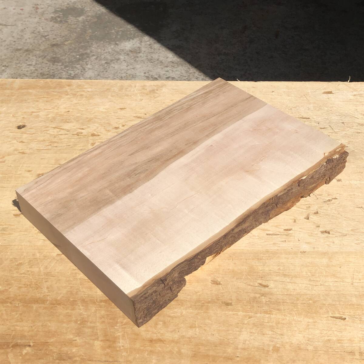 送料無料!楓【A314T】378×230~241×45mm カエデ 杢 木工 クラフト 天然木 自然素材 材木 木材 乾燥材 無垢材《銘木すずめや》拍卖