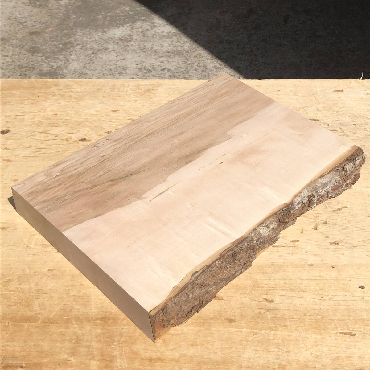 送料無料!楓【A316T】370×250~269×45mm カエデ 杢 木工 クラフト 天然木 自然素材 材木 木材 乾燥材 無垢材《銘木すずめや》拍卖
