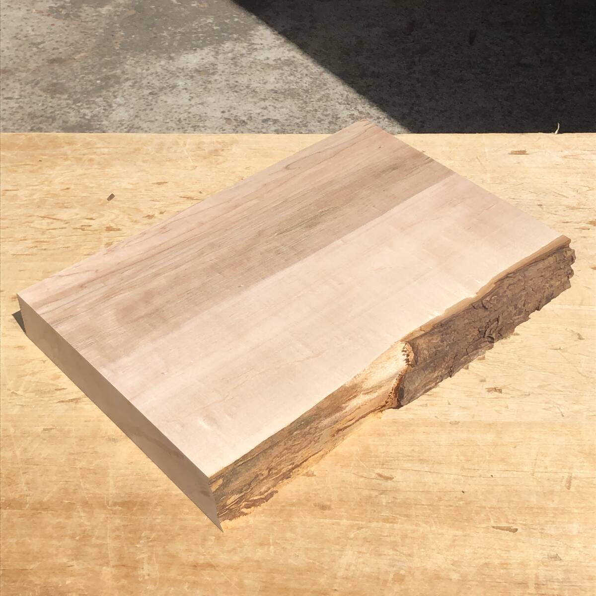 送料無料!楓【A317T】373×243~260×46mm カエデ 杢 木工 クラフト 天然木 自然素材 材木 木材 乾燥材 無垢材《銘木すずめや》拍卖