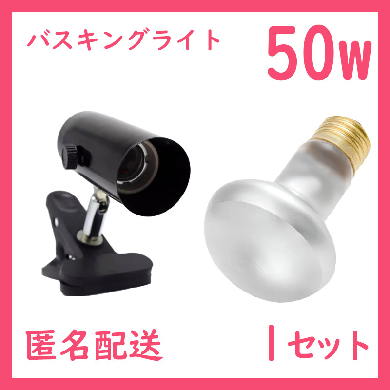 爬虫類ライト【50Wバスキングライト】タイトビームS0021拍卖