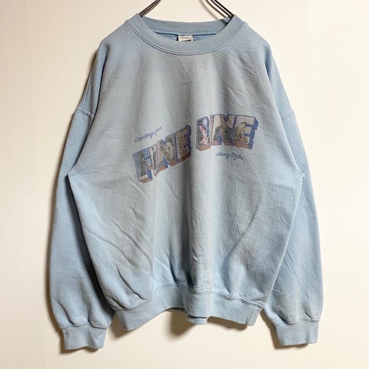 古着 used GILDAN ギルダン 長袖プリントスウェット トレーナー FINE LINE 水色 秋冬服 Lサイズ拍卖