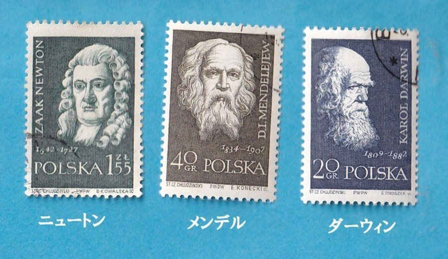A ★ポルトガルの切手 1959年 「偉人切手」3枚 ①ニュートン ②メンデレーエフ ③ダーウィン 使用済拍卖