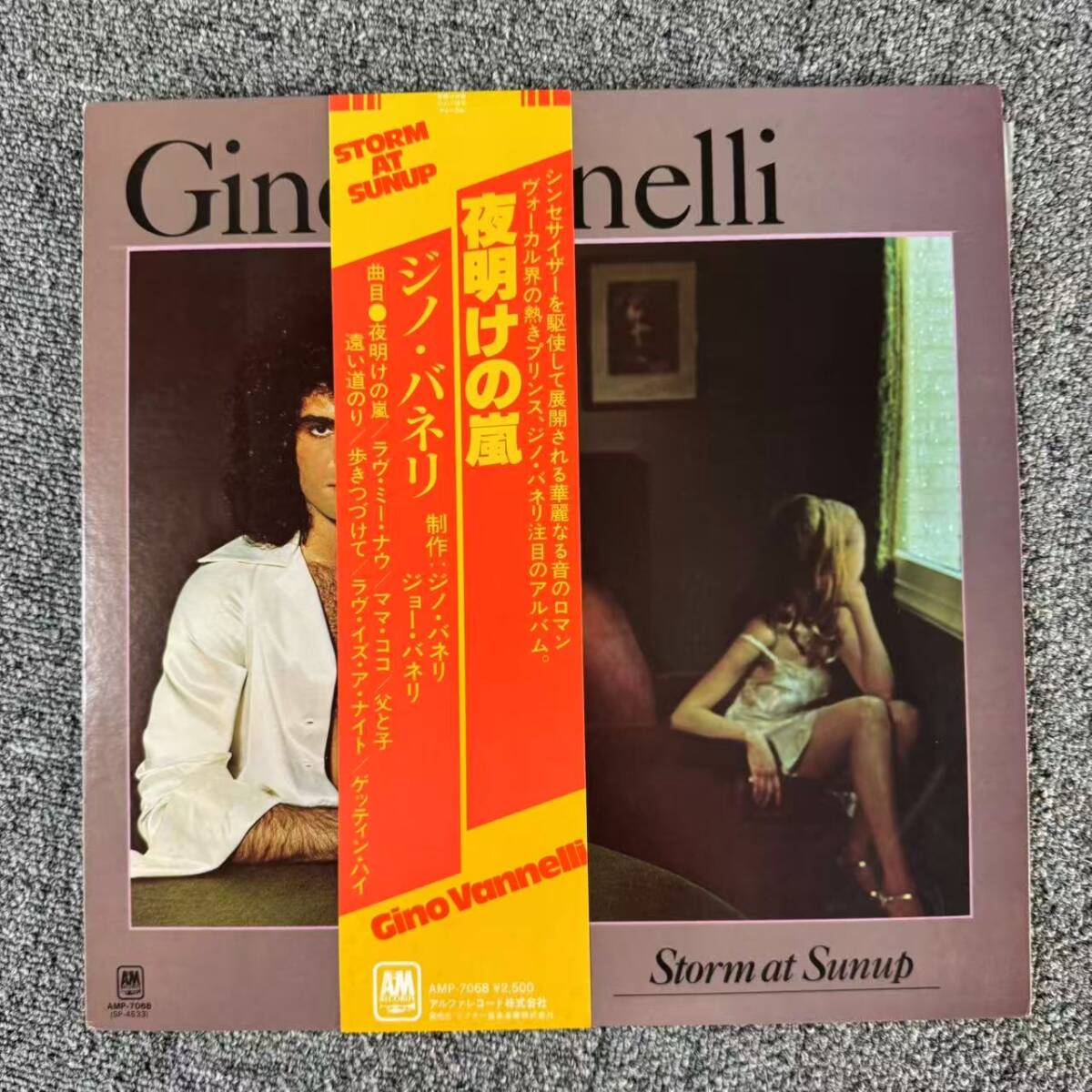 帯付LP/ 国内盤 GINO VANNELLI/STORM AT SUNUP/A&M AMP7068 LP/SNJ090105拍卖