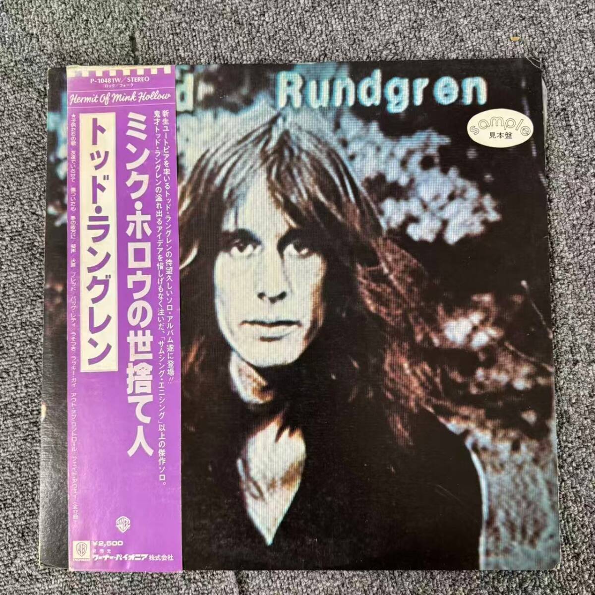 見本盤 帯付LP /Todd Rundgren/Hermit Of Mink Hollow/P-10481W』/SNJ091975拍卖