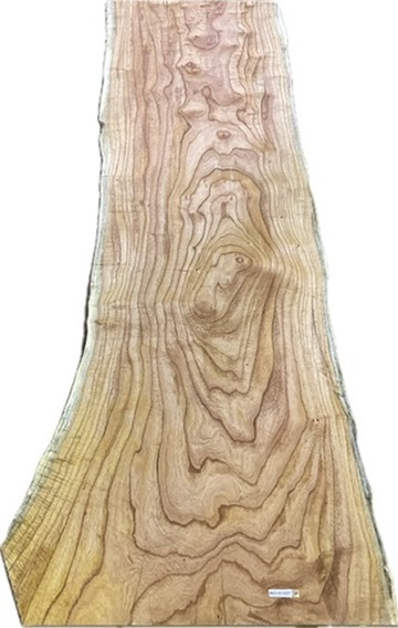 W0191037 センダン 杢 木裏 一枚板拍卖