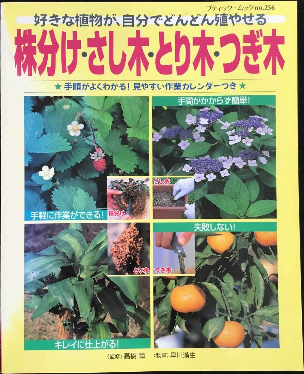 株分け・さし木・とり木・つぎ木: 好きな植物が、自分でどんどん殖やせる (ブティック・ムック No. 256)拍卖