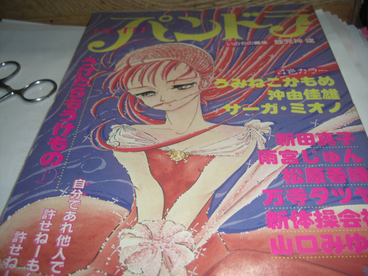 PETIT パンドラ 7 1冊拍卖