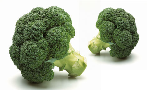 家庭菜園に ブロッコリー 30粒拍卖