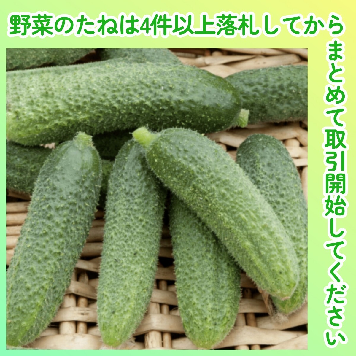 4件以上落札◆キュウリ種◆ミニキュウリ・パリグリーン 8粒◆固定種きゅうり ピクルスキュウリ拍卖