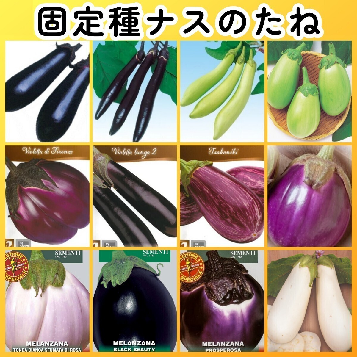 匿名配送無料◆固定種ナス種12◆早生真黒茄子博多長茄子白長茄子白丸茄子イタリアナスフィレンツェゼブラナスロッサビアンコトンダビアンカ拍卖
