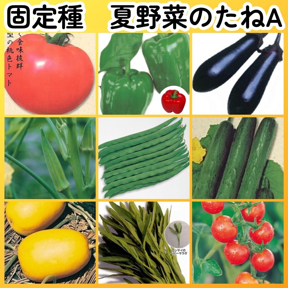 匿名配送無料◆固定種夏野菜の種A◆大玉トマト+ピーマン+ナス+オクラ+つるありインゲン+キュウリ+マクワウリ+空芯菜エンサイ+ミニトマト拍卖