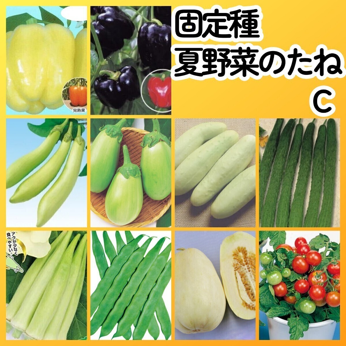 匿名配送無料◆固定種夏野菜の種C◆カラーピーマン白ナス白キュウリ四葉胡瓜白オクラ平莢インゲンマンズナルマクワウリミニトマトレジナ拍卖