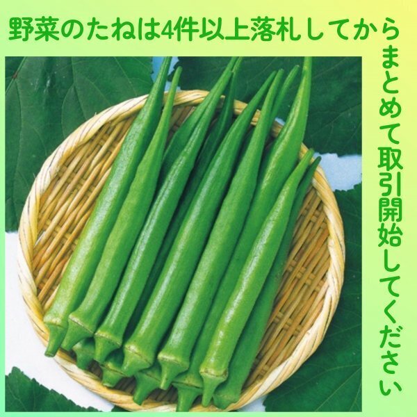 4件以上落札◆オクラ種◆丸莢オクラ エメラルド 20粒◆固定種 丸オクラ 丸おくら拍卖