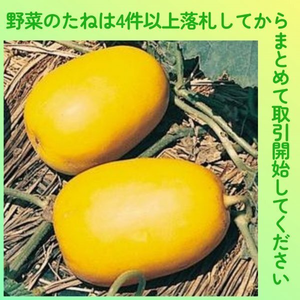 4件以上落札◆マクワウリ種◆奈良一号まくわ 5粒◆固定種まくわうり マクワ まくわ 甜瓜 真桑瓜拍卖