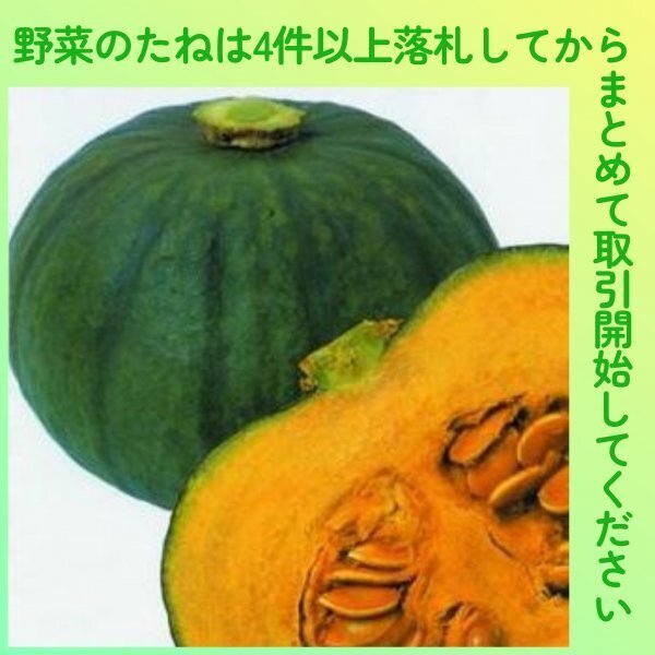 4件以上落札◆カボチャ種◆東京南瓜(芳香青皮栗南瓜) 3粒◆固定種かぼちゃ拍卖