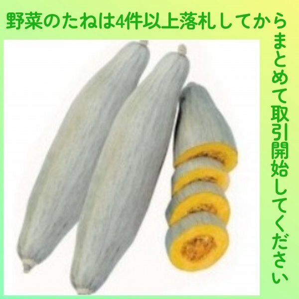 4件以上落札◆カボチャ種◆飛騨南瓜 3粒◆固定種 長カボチャ スクナカボチャ 飛騨かぼちゃ 飛騨カボチャ拍卖