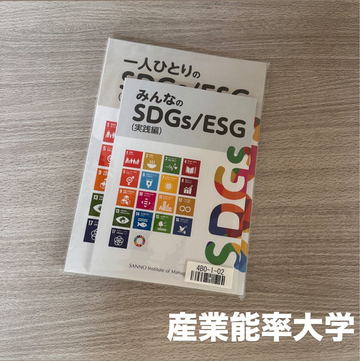 新品【一人ひとりのSDGs/ESG ・みんなのSDGs/ESG】産業能率大学拍卖