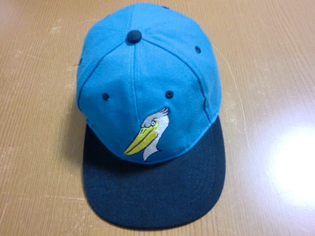 FLOCHING FUN フラミンゴ キャップ SIZE:フリー 拍卖