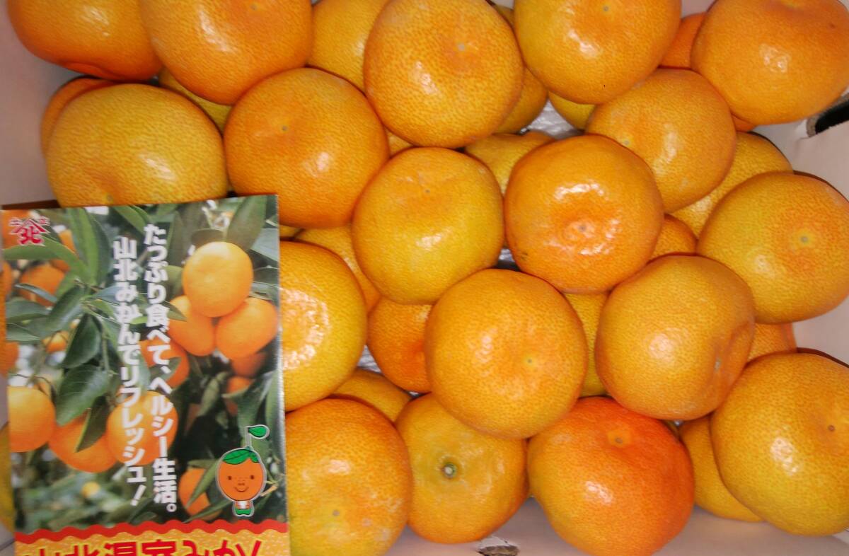 1円~スタート☆もうすぐ終了【高知県産】 山北温室みかん 秀Lサイズ 約5kg クール便発送拍卖