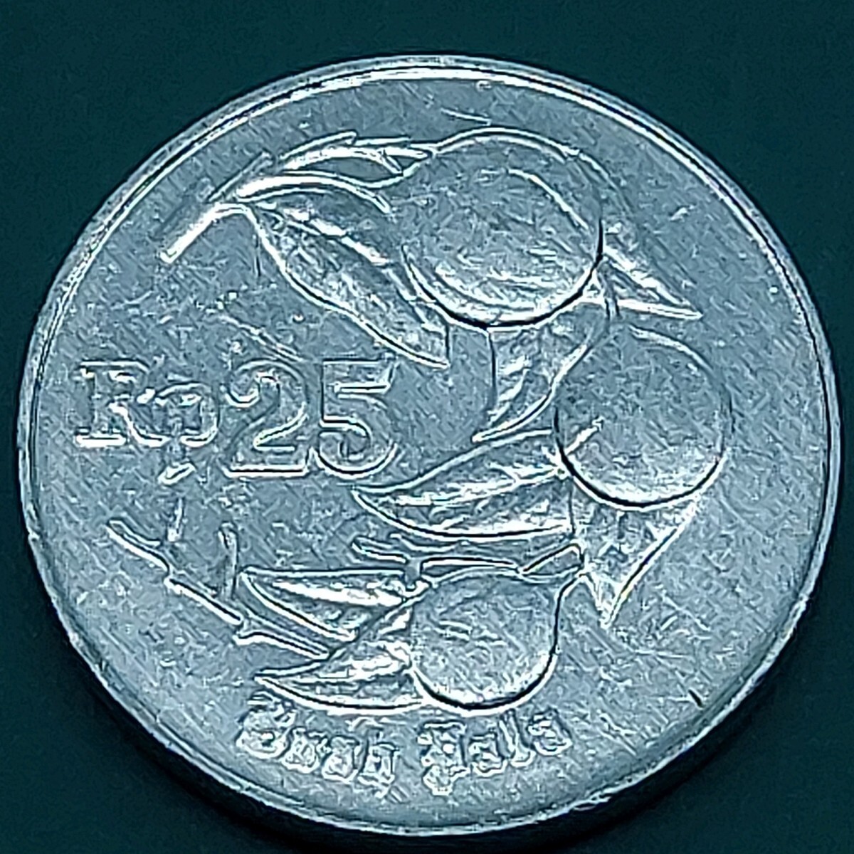 インドネシア 25ルピア硬貨 1995年 ムスカット(ナツメグ)の木 海外コイン 【L282】拍卖