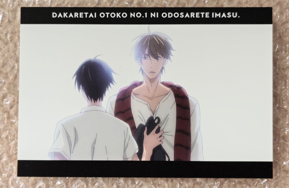 だかいち ポストカード コラボカフェ特典 抱かれたい男1位に脅されています拍卖