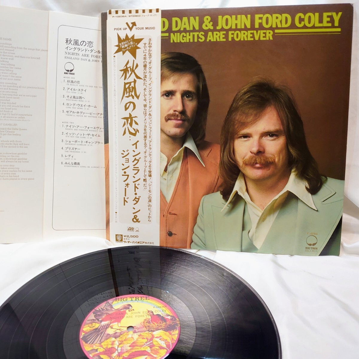 9473【LP盤】England Dan & John Ford Coley / Nights Are Forever 秋風の恋 P-10236A AOR 洋楽 ロック 12インチ レコード 帯拍卖