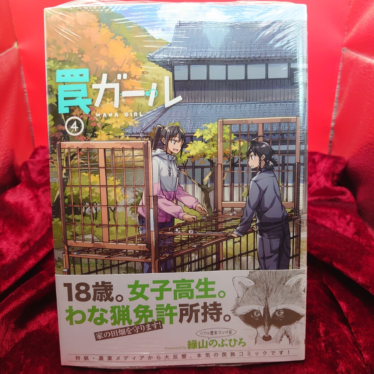 911【未使用】 罠ガール 4巻 緑山のぶひろ KADOKAWA 未使用漫画 マンガ コミックス 新品 シュリンク拍卖