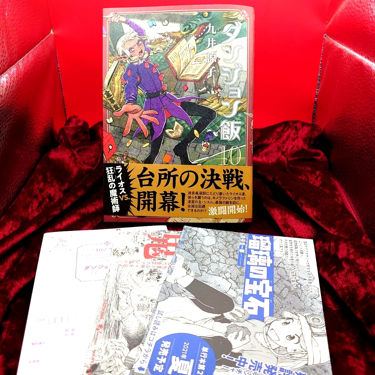 914【初版】 ダンジョン飯 10巻 九井諒子 角川 漫画 マンガ コミックス拍卖