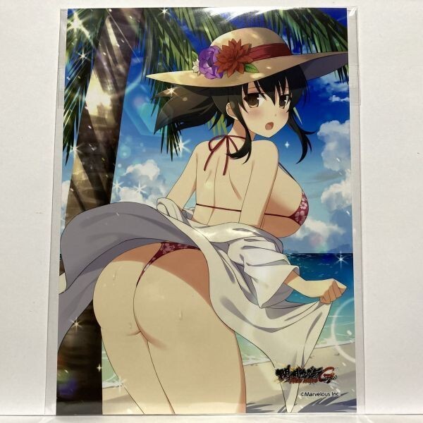 閃乱カグラ NewWave Gバースト 飛鳥 B 銀塩ブロマイド スプラッシュブロマイド02 くじコレ 2L版サイズ拍卖