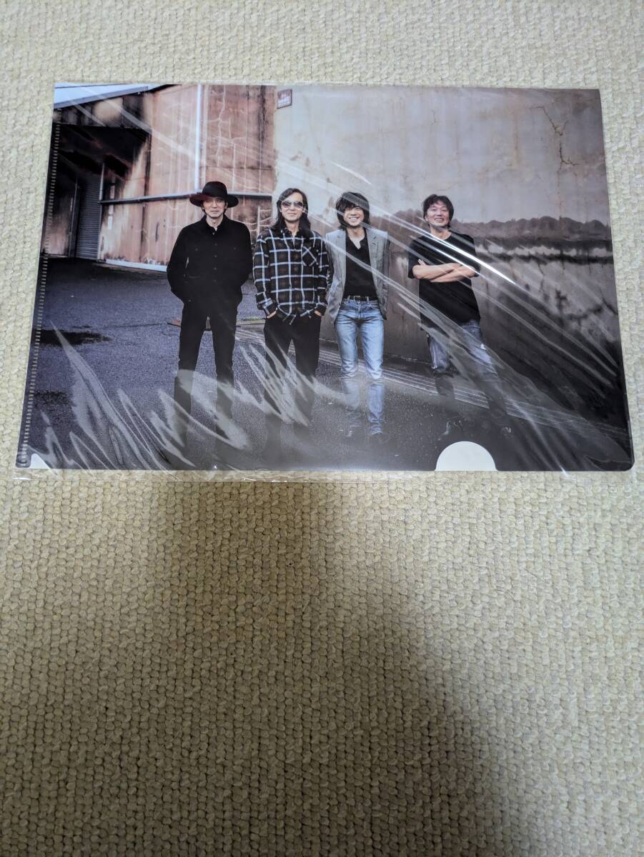 エレファントカシマシ クリアファイル 新春ライブ2022 宮本浩次拍卖