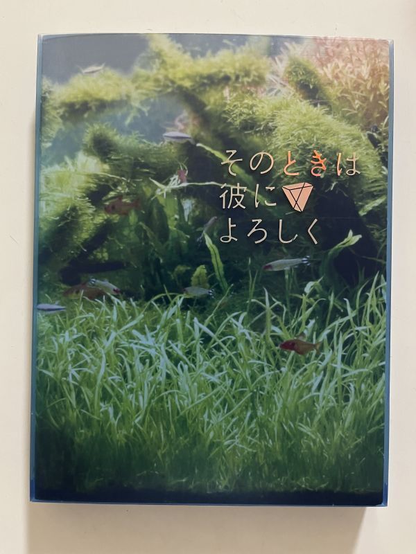 B35846 中古DVD(セル版)そのときは彼によろしく スペシャル・エディション(2枚組) 長澤まさみ , 山田孝之拍卖