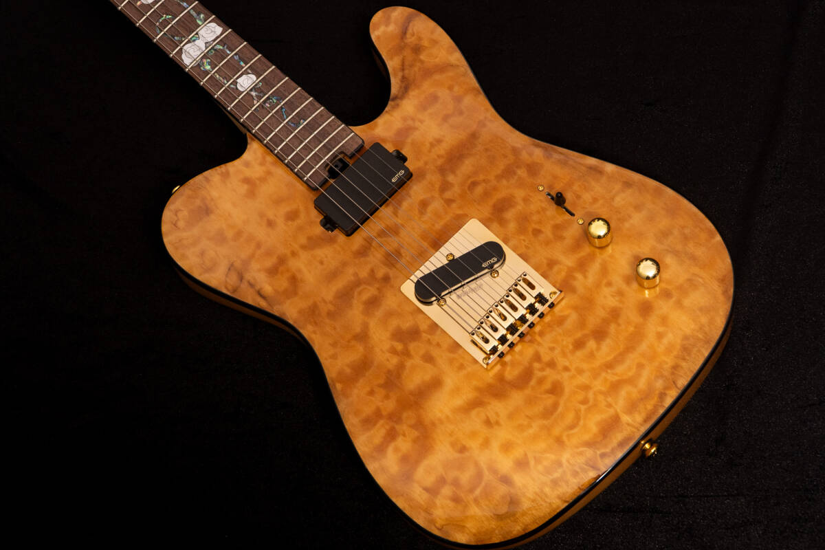 【outlet】Aria Pro Ⅱ / TEG-780 3.495kg #1024121093【TONIQ横浜】拍卖