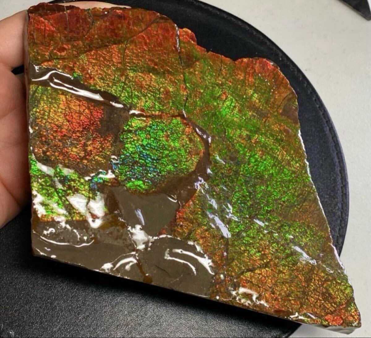 超特大!! アンモライト 1279g 200mm カナダ・アルバータ産 強発色&強輝度 AAAジェムグレード 証明書付属拍卖