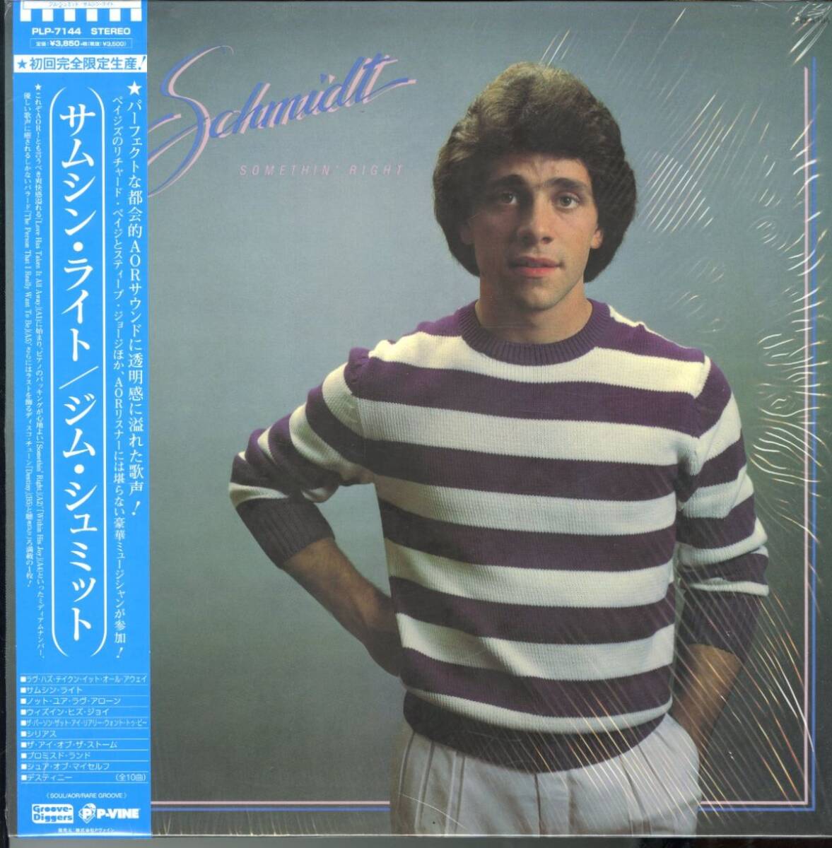 2021年リイシュー シュリンク・帯付き 初回完全限定生産 国内盤 Jim Schmidt / Somethin' Right 1983年作【P-Vine Records / PLP-7144】拍卖