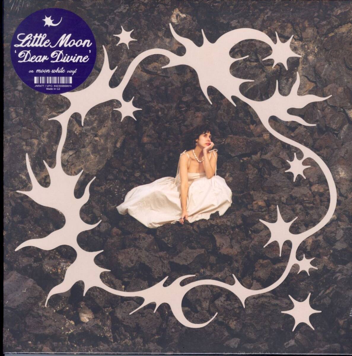 新品!2024年 USプレスLP!ホワイト盤 Little Moon / Dear Divine【Joyful Noise Recordings JNR477】リトル・ムーン インディー・フォーク拍卖