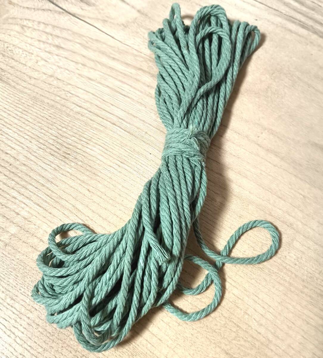 手芸紐 巾着紐 カラー紐 ハンドメイド 紐 手芸用品 手芸材料 手芸 約3mm 約10m 若緑拍卖