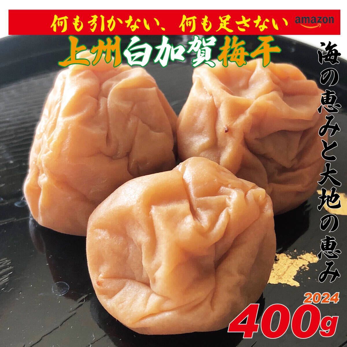 海の恵みと大地の恵み、天日塩使用の地下室手作り添加物不使用白加賀梅干400g拍卖
