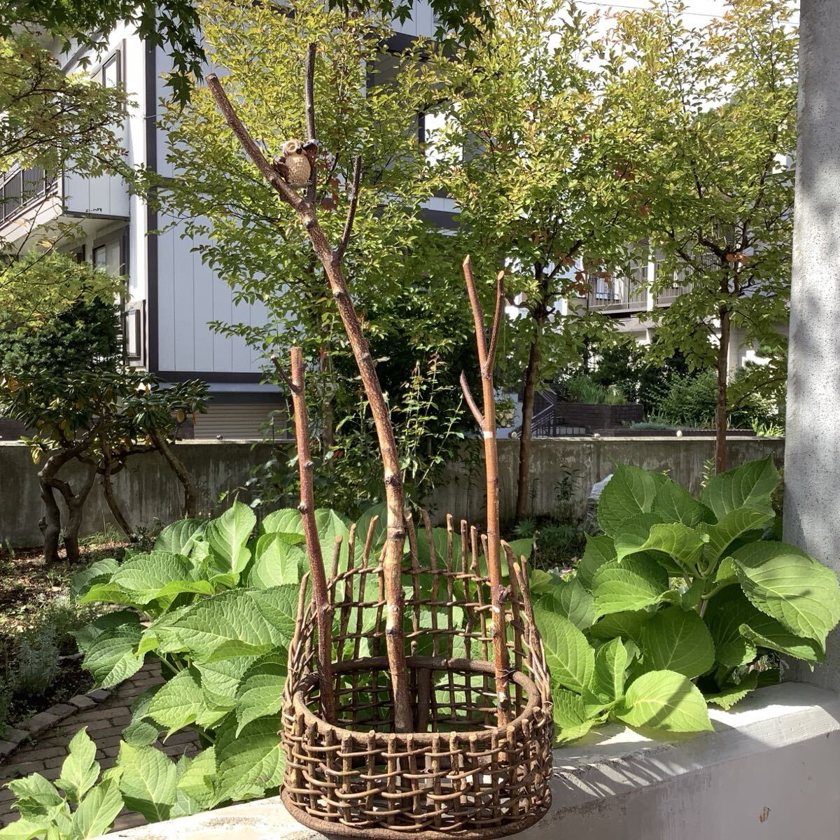 天然素材 ナチュラル 鉢カバー プランターカバー 木製 枝 フクロウ拍卖