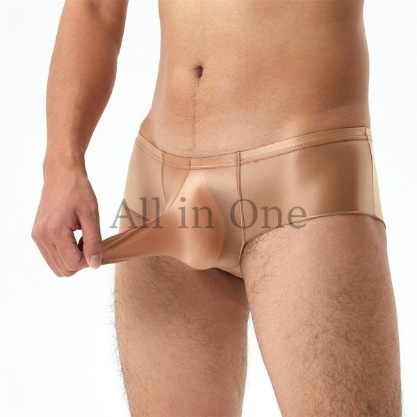 180-159-11 光沢 ツヤツヤ メンズ サオ付き ローライズ パンツ【ブラウン,L】男性 下着 セクシー アンダーウェア ショーツ ブリーフ .2拍卖