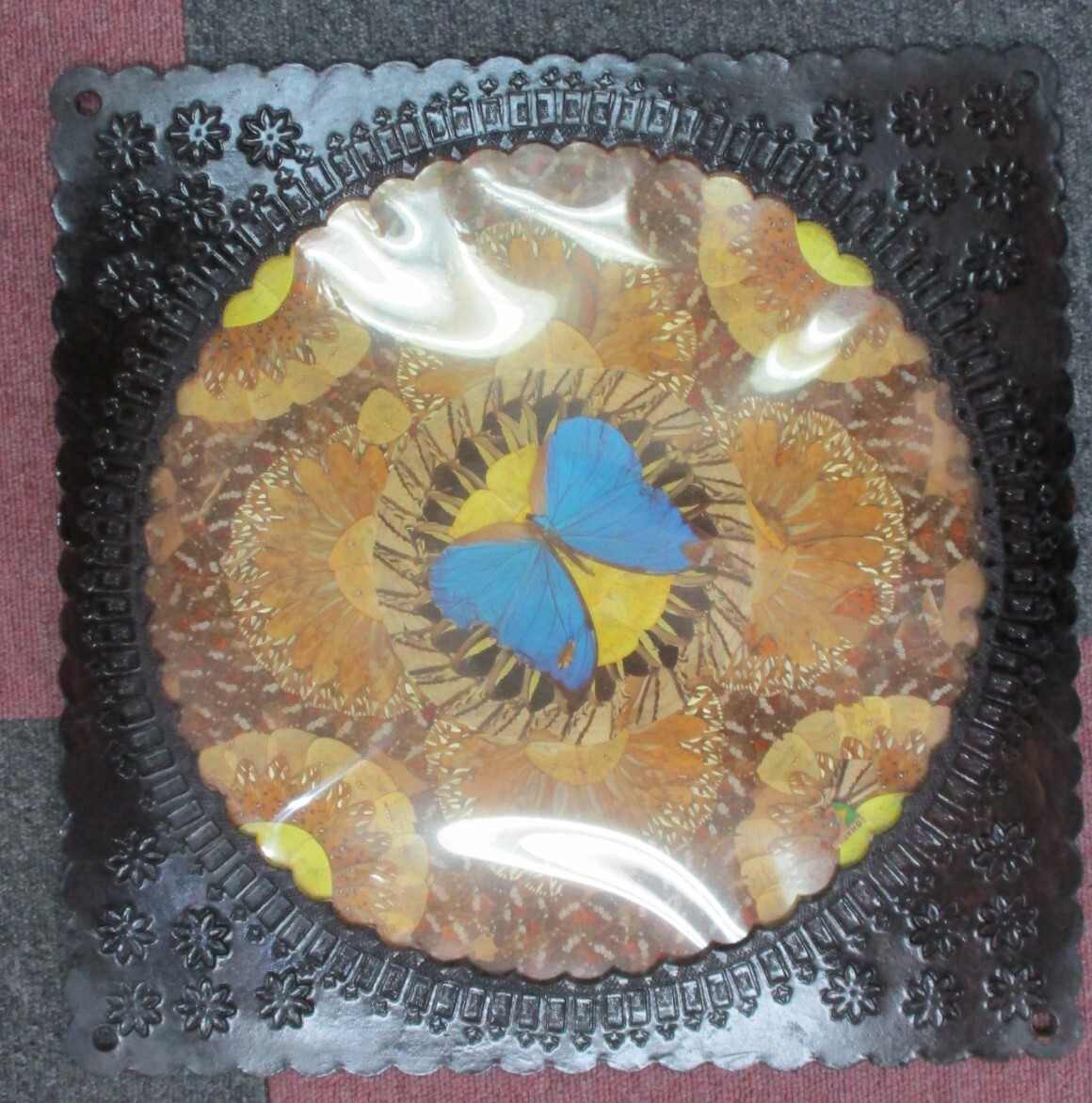 E-34 モルフォ蝶の蝶画 インテリア アート 美術品 額装拍卖