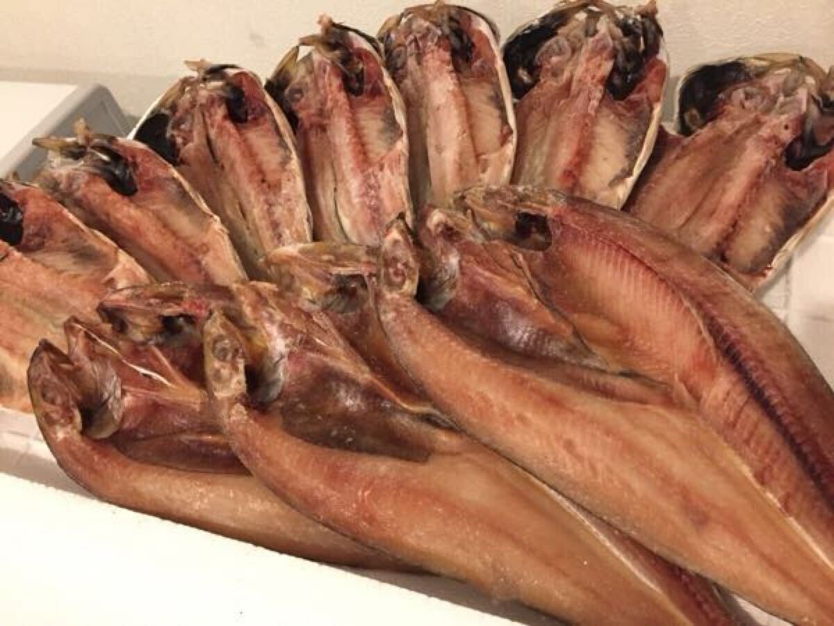 d【送料無料】 静岡県沼津名産 鯵干し7尾+ホッケ干し3尾拍卖